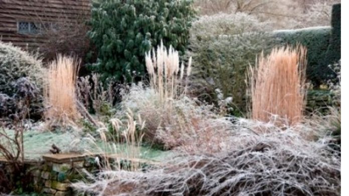 Scene Setter At Great Dixter Rye News