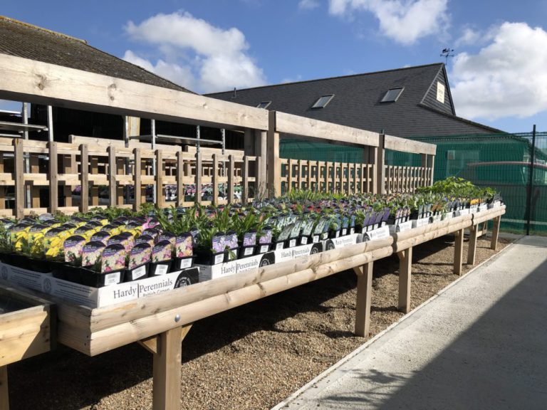 new-garden-centre-rye-news