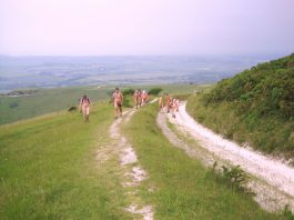 Local Opportunities For Naturism Rye News