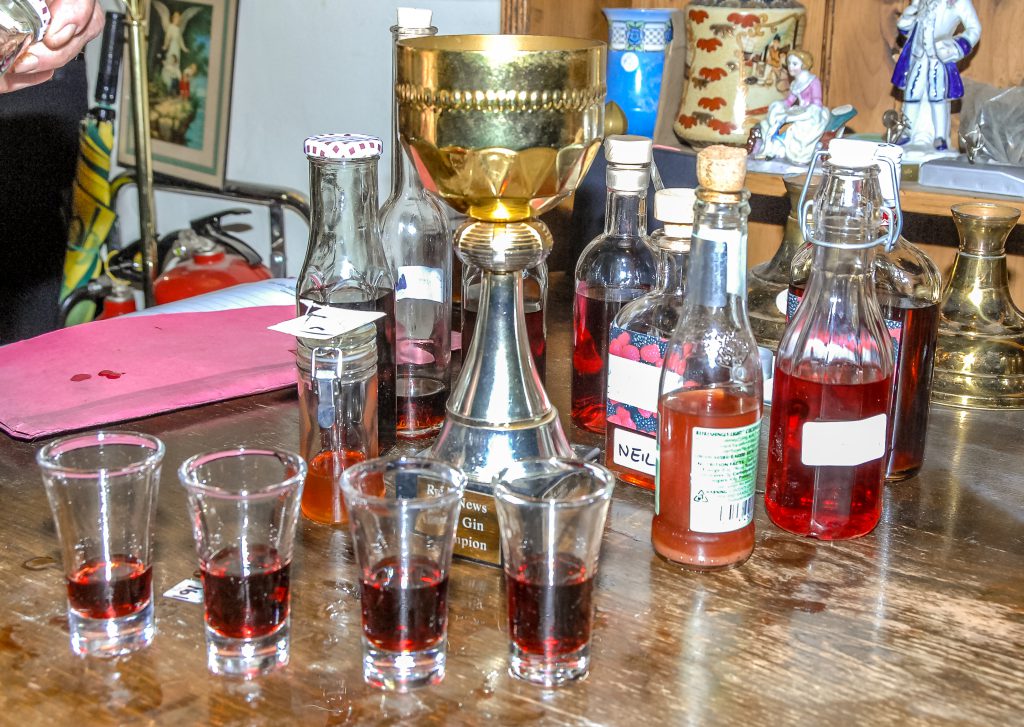 Sloe gin competition needs you | Rye News